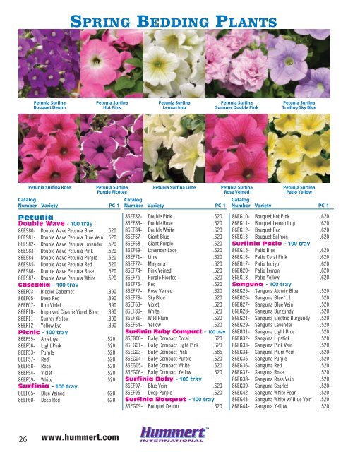 spring bedding plants - Hummert International