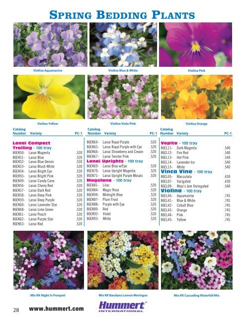 spring bedding plants - Hummert International
