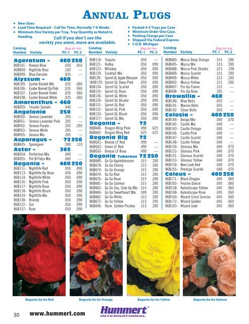 spring bedding plants - Hummert International