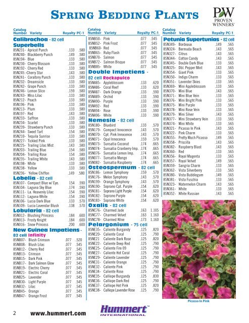 spring bedding plants - Hummert International