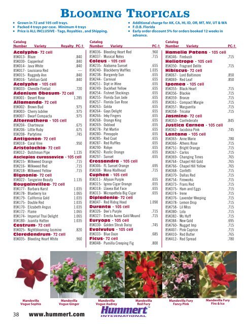 spring bedding plants - Hummert International