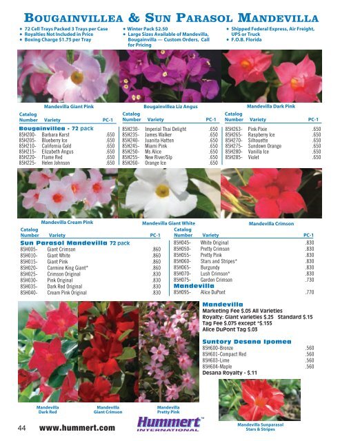 spring bedding plants - Hummert International