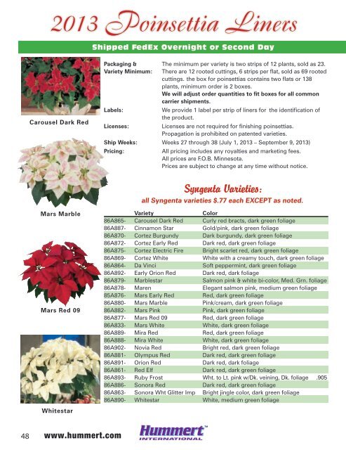 spring bedding plants - Hummert International