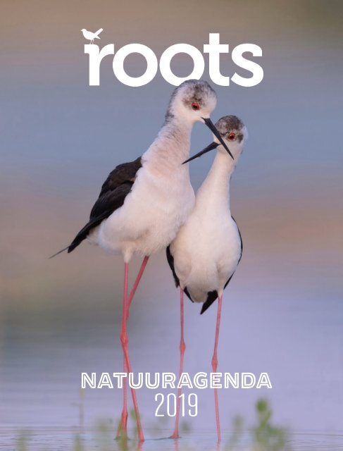 Inkijkexemplaar-Roots-Agenda