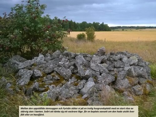 Stensuggorna i Storvretabygden - ett spännande kulturstensarv.   Sven-Inge Windahl, 2018