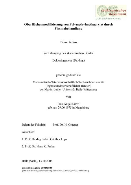 Oberflächenmodifizierung von Polymethylmethacrylat durch ...