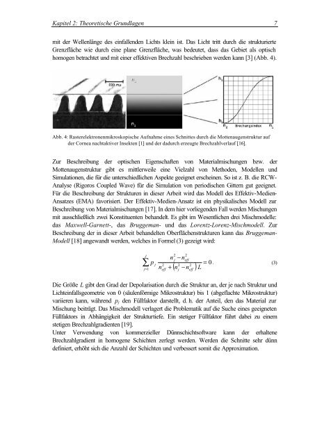 Oberflächenmodifizierung von Polymethylmethacrylat durch ...