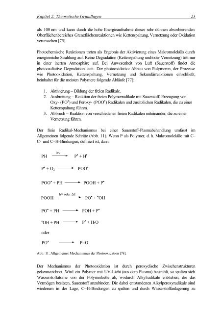 Oberflächenmodifizierung von Polymethylmethacrylat durch ...