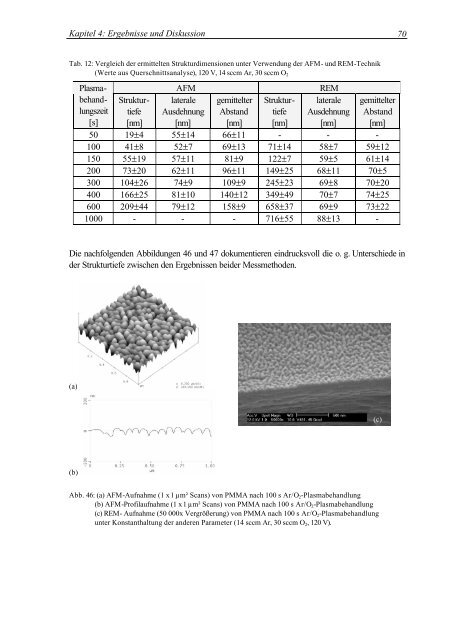 Oberflächenmodifizierung von Polymethylmethacrylat durch ...