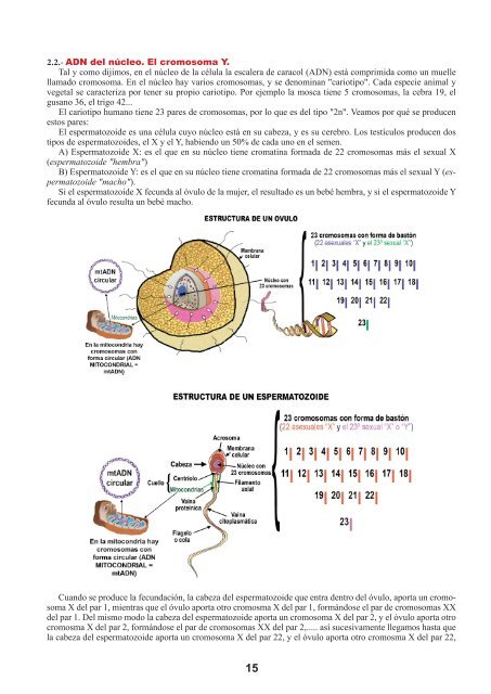 LOS ORIGENES DE LA ETNIA VASCA