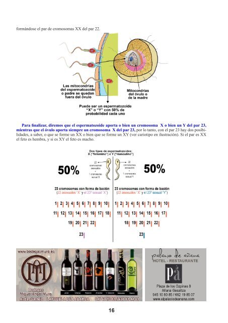 LOS ORIGENES DE LA ETNIA VASCA