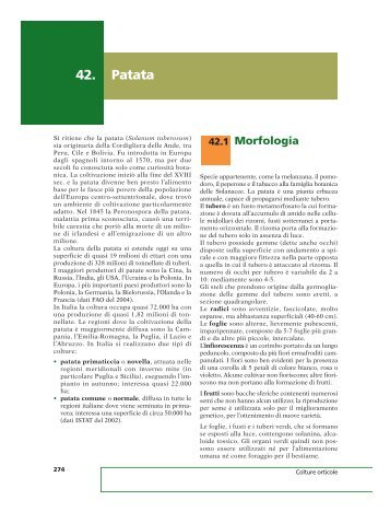 Patata 42. - Calderini