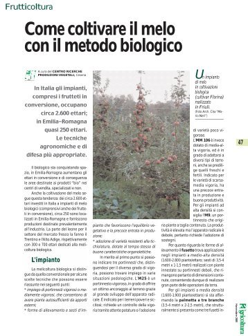 Come coltivare il melo con il metodo biologico - Crpv