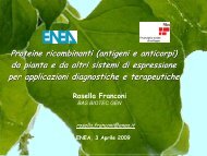 Dr.ssa Rosella Franconi - EneaScuola