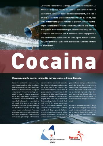 Cocaina: pianta sacra, «rimedio miracoloso» e droga di moda
