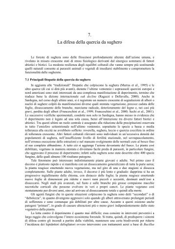 7. La difesa della quercia da sughero - Dipartimento di Economia e ...