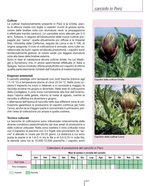 il carciofo - Coltura & Cultura