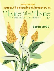 NOW ONLINE! www.thymeafterthyme.com