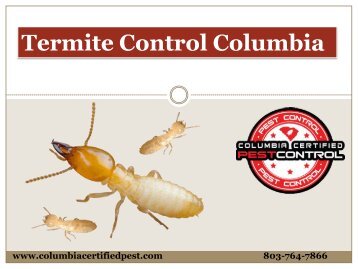 Termite Control Company Columbia South Carolina
