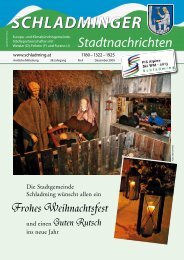 Der Stadt - Schladming