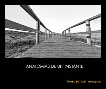 ANATOMÍAS DE UN INSTANTE