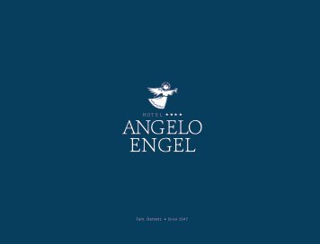 Hotel Angelo Engel