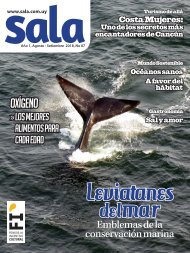 Revista Sala Nro. 07 Agosto - Setiembre