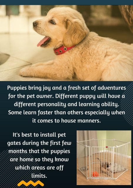 Take Help of Pet Gates To Speed Up Puppy Training