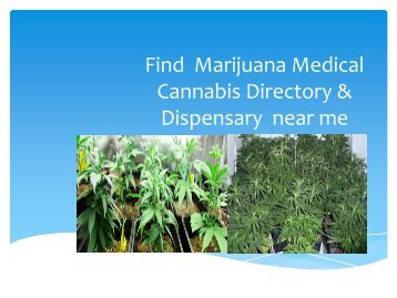 Find Marijuana Medical Cannabis Directory & Dispensary near me