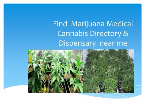 Find Marijuana Medical Cannabis Directory & Dispensary near me