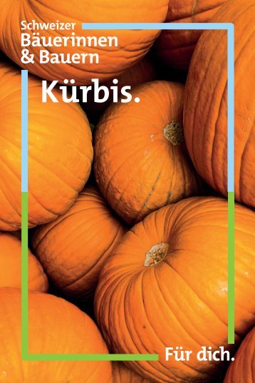 Kürbis