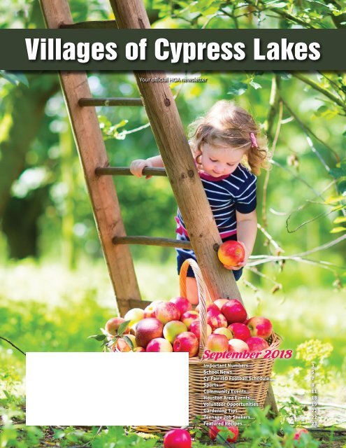 Villages of Cypress Lakes September 2018