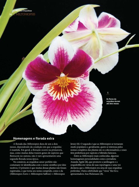 Orquídeas_Da_Natureza_Nº_16