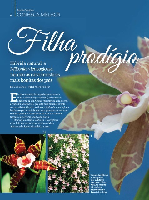 Orquídeas_Da_Natureza_Nº_16