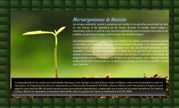 Microorganismos de Montaña