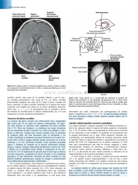 Principios de Neurociencia Haines 4a Ed_booksmedicos.org