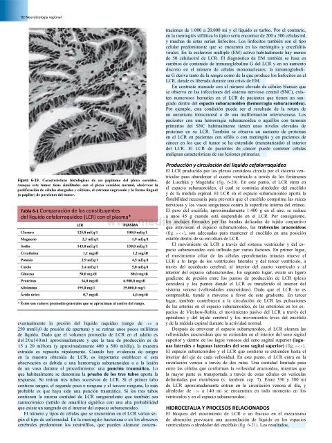 Principios de Neurociencia Haines 4a Ed_booksmedicos.org