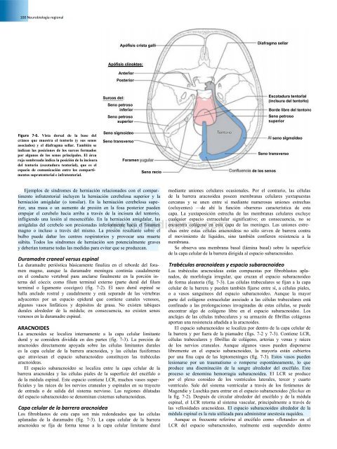 Principios de Neurociencia Haines 4a Ed_booksmedicos.org