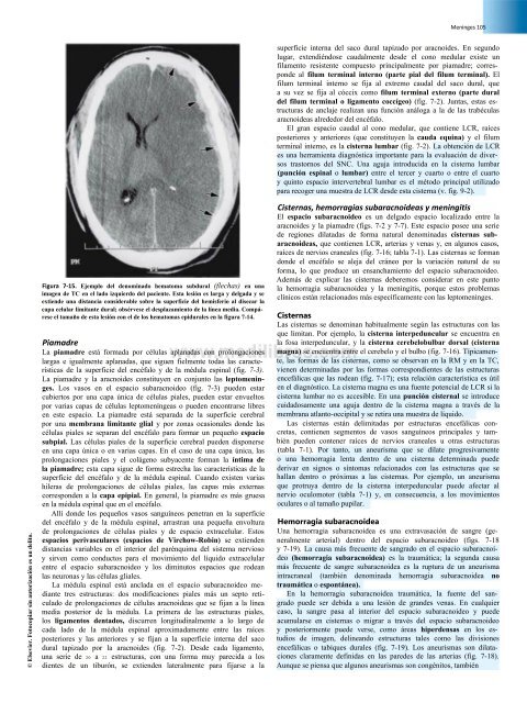 Principios de Neurociencia Haines 4a Ed_booksmedicos.org