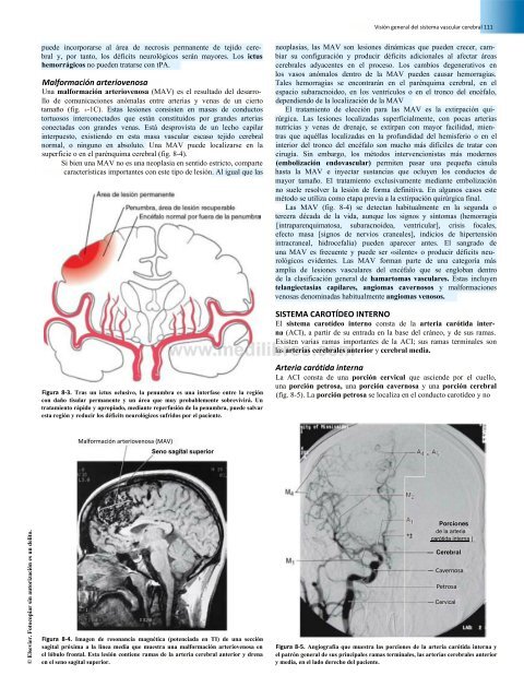 Principios de Neurociencia Haines 4a Ed_booksmedicos.org