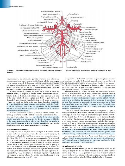 Principios de Neurociencia Haines 4a Ed_booksmedicos.org