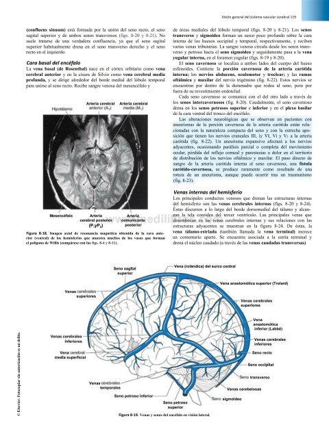 Principios de Neurociencia Haines 4a Ed_booksmedicos.org