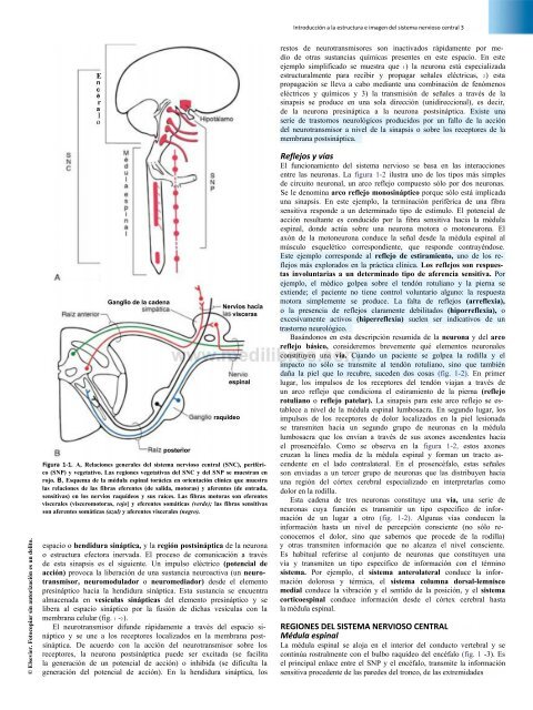 Principios de Neurociencia Haines 4a Ed_booksmedicos.org