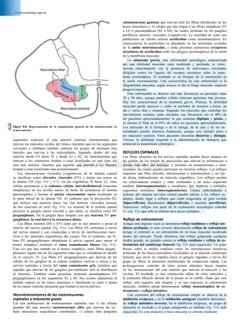 Principios de Neurociencia Haines 4a Ed_booksmedicos.org