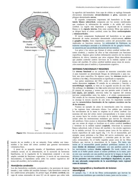Principios de Neurociencia Haines 4a Ed_booksmedicos.org