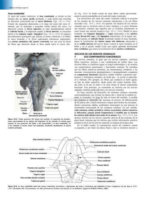 Principios de Neurociencia Haines 4a Ed_booksmedicos.org