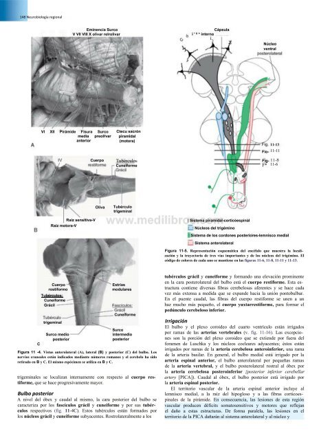 Principios de Neurociencia Haines 4a Ed_booksmedicos.org