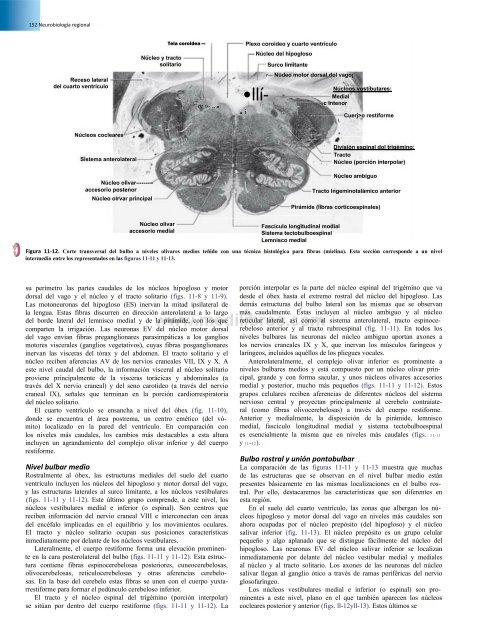 Principios de Neurociencia Haines 4a Ed_booksmedicos.org