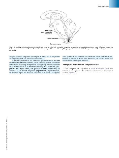 Principios de Neurociencia Haines 4a Ed_booksmedicos.org