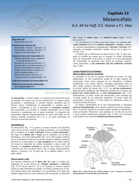 Principios de Neurociencia Haines 4a Ed_booksmedicos.org